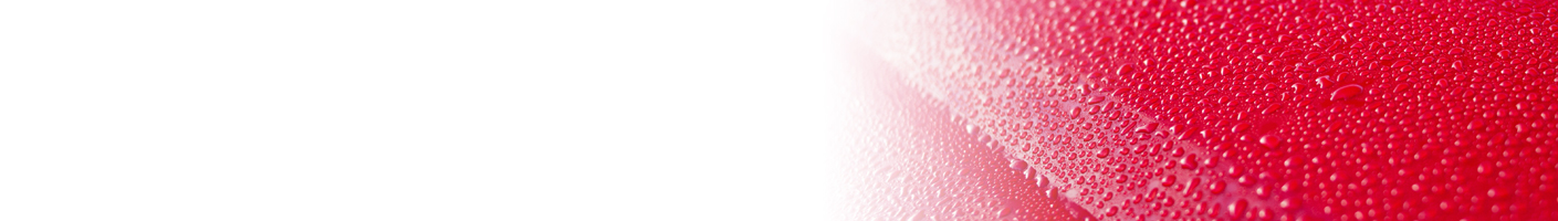 Waxes And Sealants Waxes And Sealants